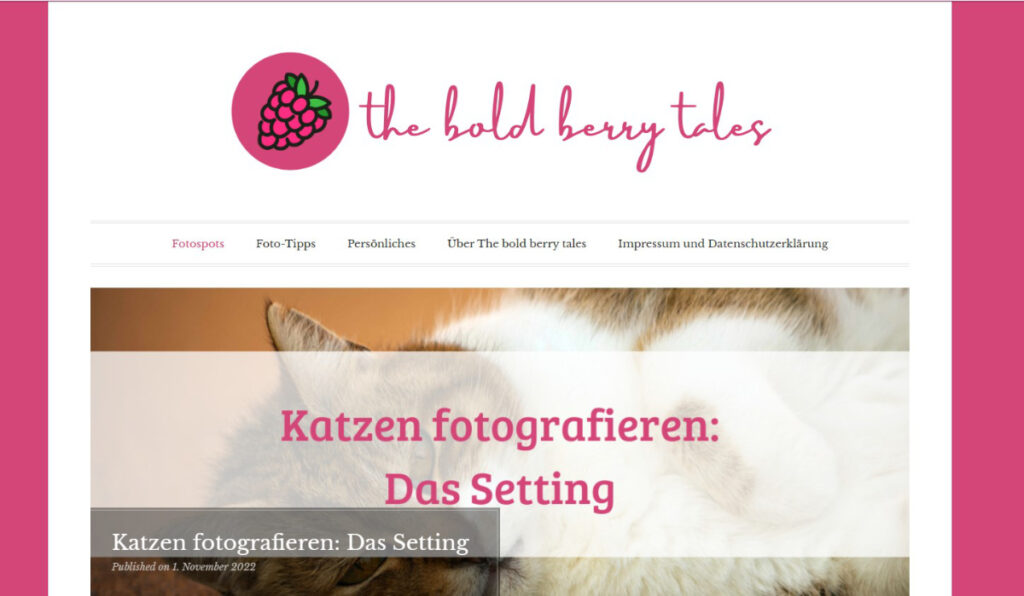 mein Blog the bold berry tales am 19.12.2022