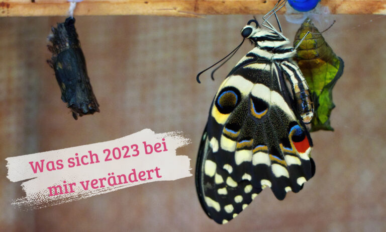 Was sich 2023 bei mir verändert