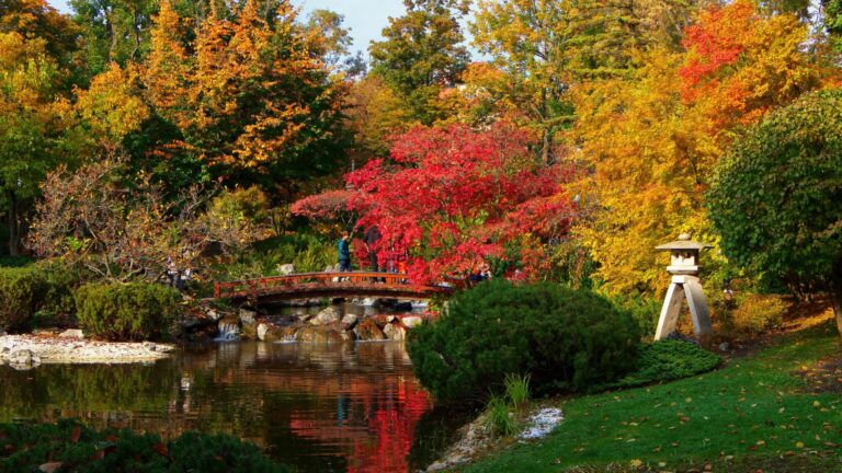 Setagayapark aus dem Buch Verlockende Oasen - Parks, Grünräume und malerische Gärten in Wien von Viola Rosa Semper (Text) und Charlotte Schwarz (Foto)