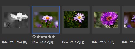 Fotos mit Sternen bewerten in Adobe Bridge