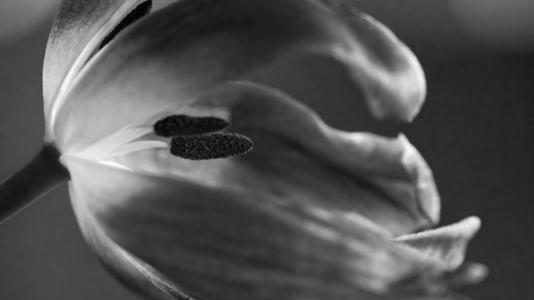 Monatsrückblick Februar 2023