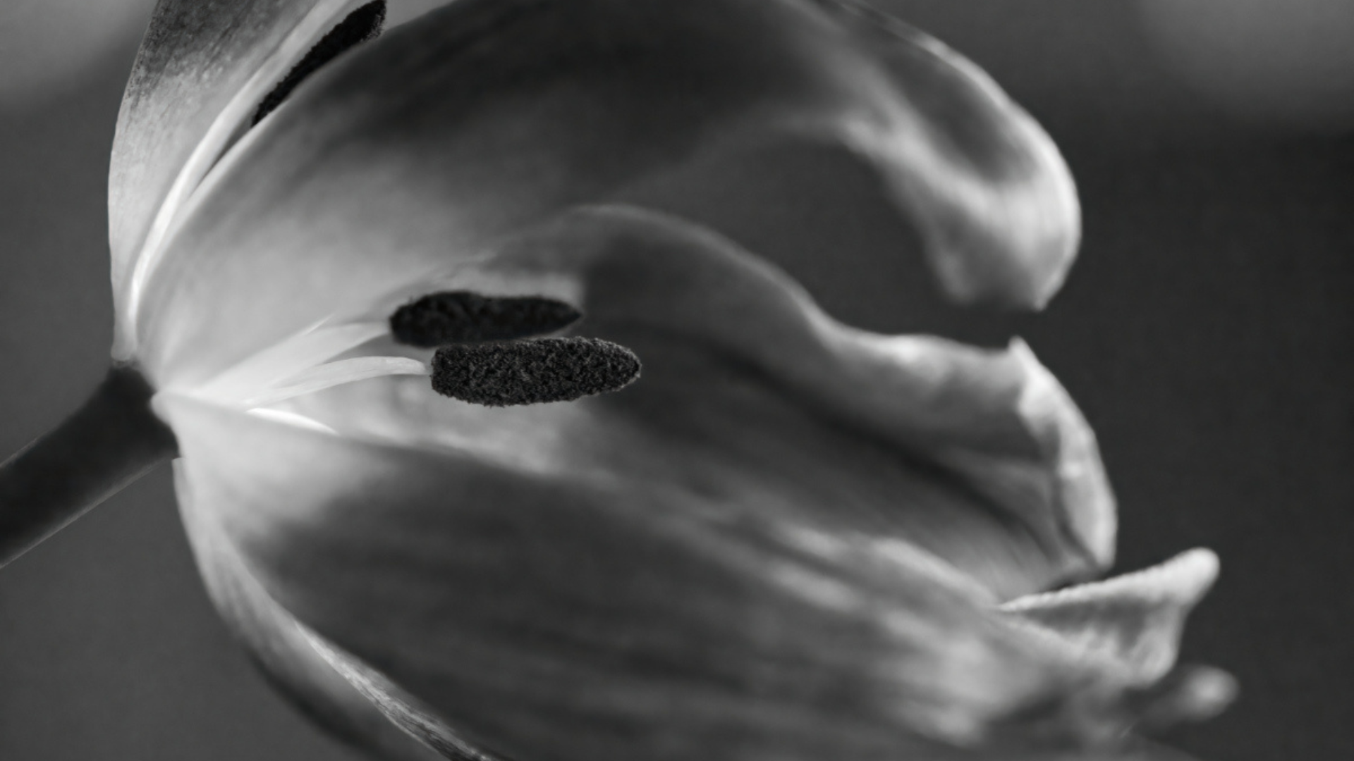 Monatsrückblick Februar 2023