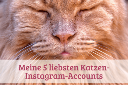 Meine 5 liebsten Katzen-Instagram-Accounts