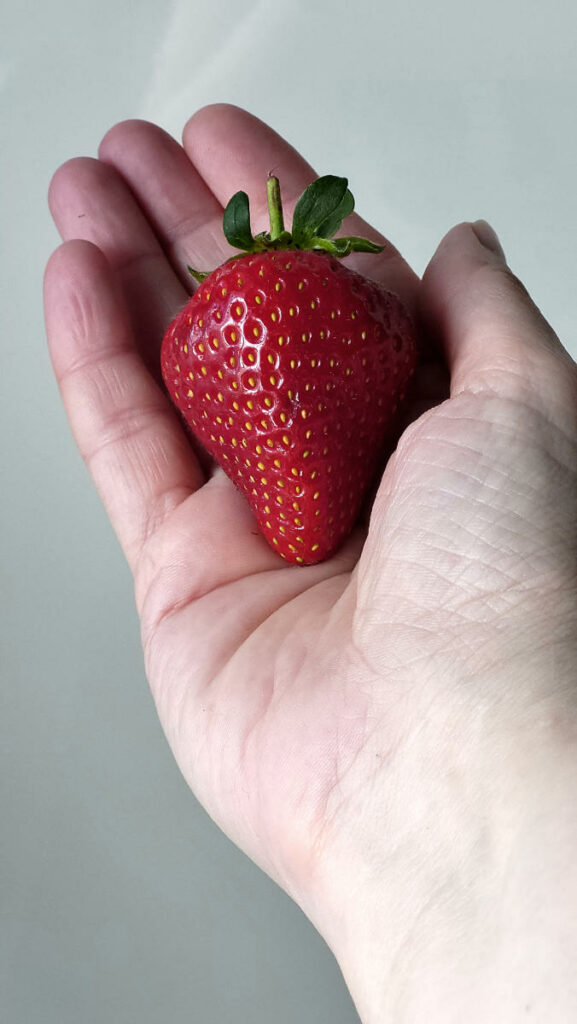 Erdbeere in der Hand