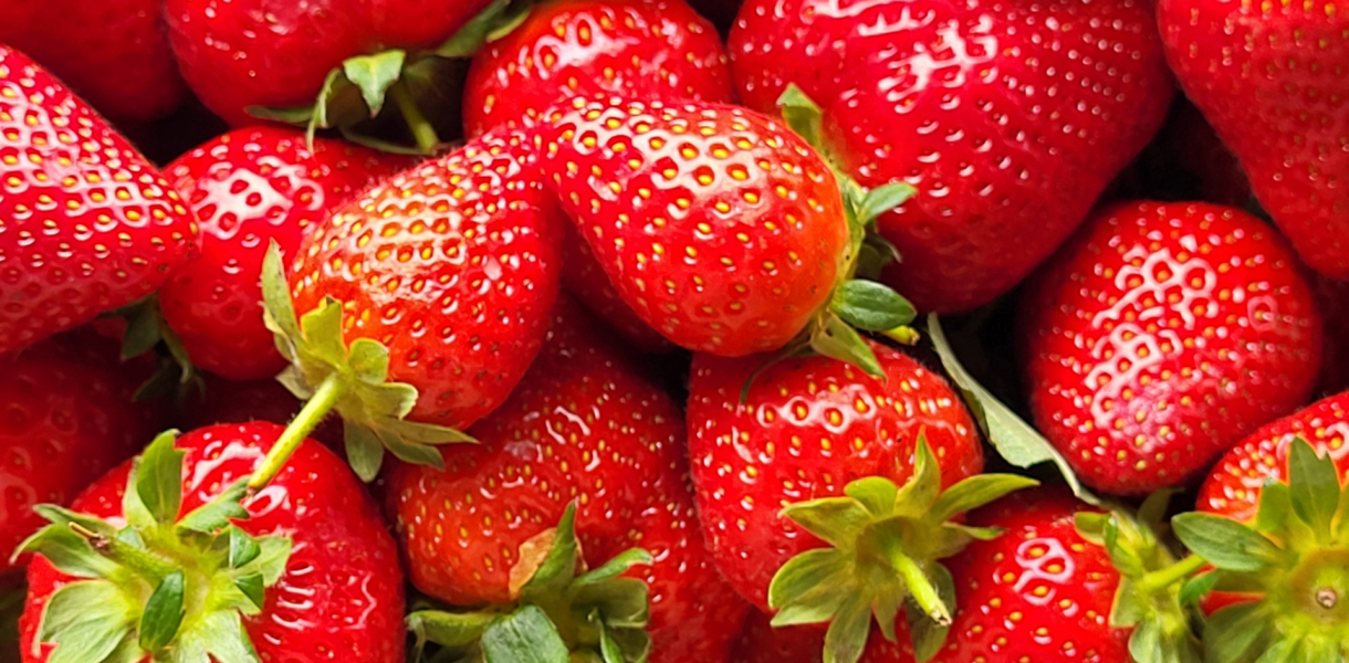 Monatsrückblick Mai 2023: Erdbeeren, Sonne und Bildgestaltung