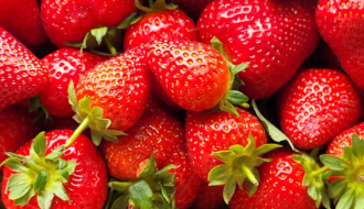 Monatsrückblick Mai 2023: Erdbeeren, Sonne und Bildgestaltung