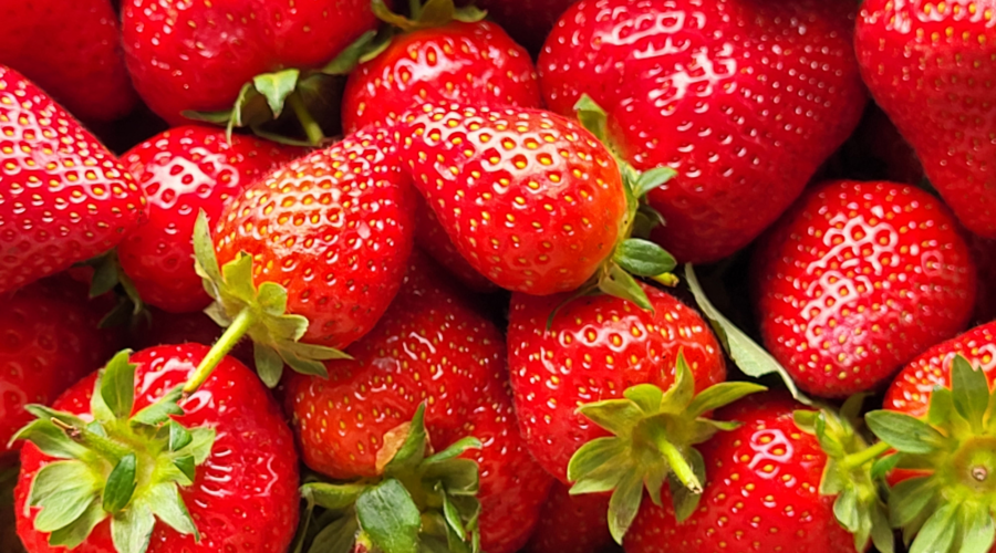 Monatsrückblick Mai 2023: Erdbeeren, Sonne und Bildgestaltung