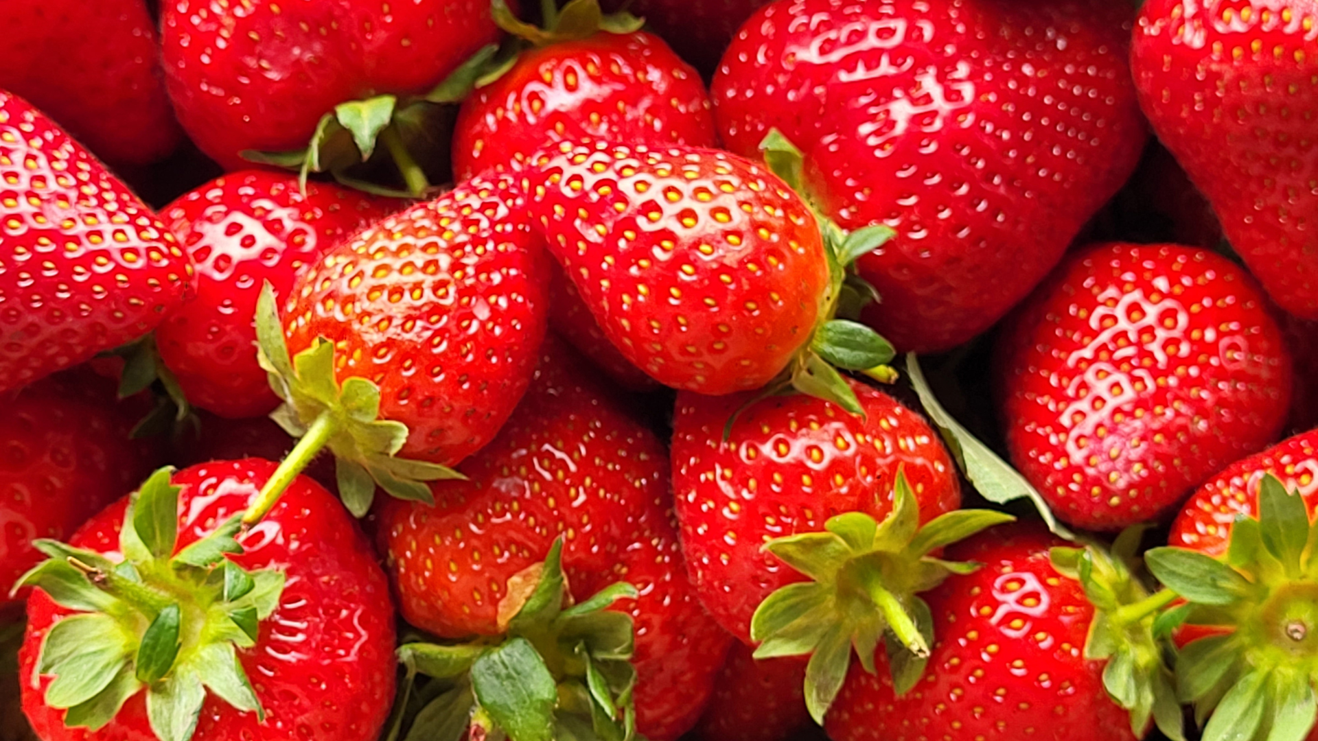 Monatsrückblick Mai 2023: Erdbeeren, Sonne und Bildgestaltung