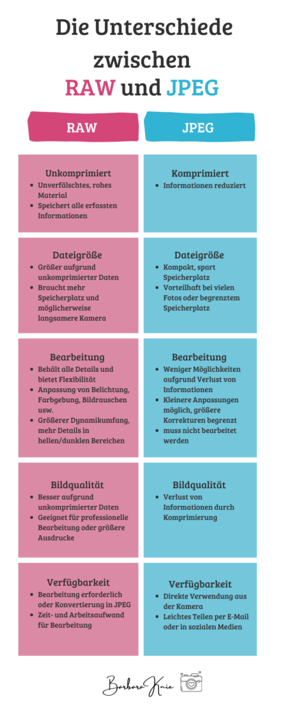 Die Unterschiede zwischen RAW und JPEG - Infografik