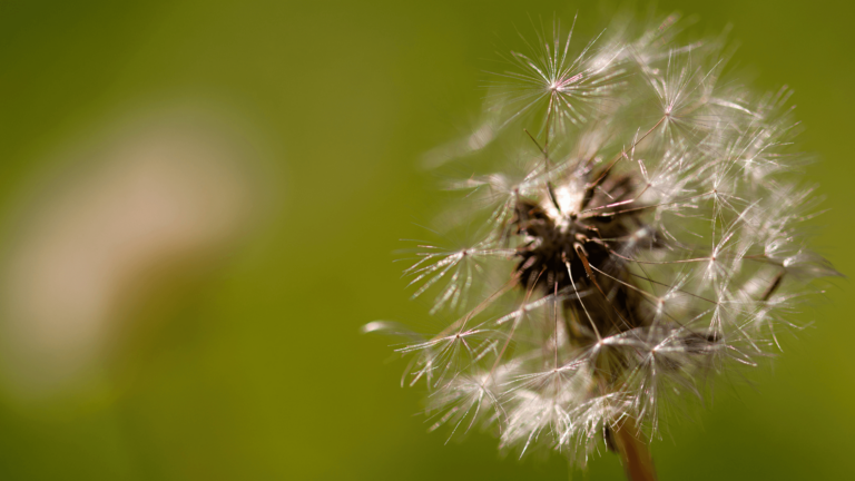 Fotografie - Inspired by life von Anna Heupel