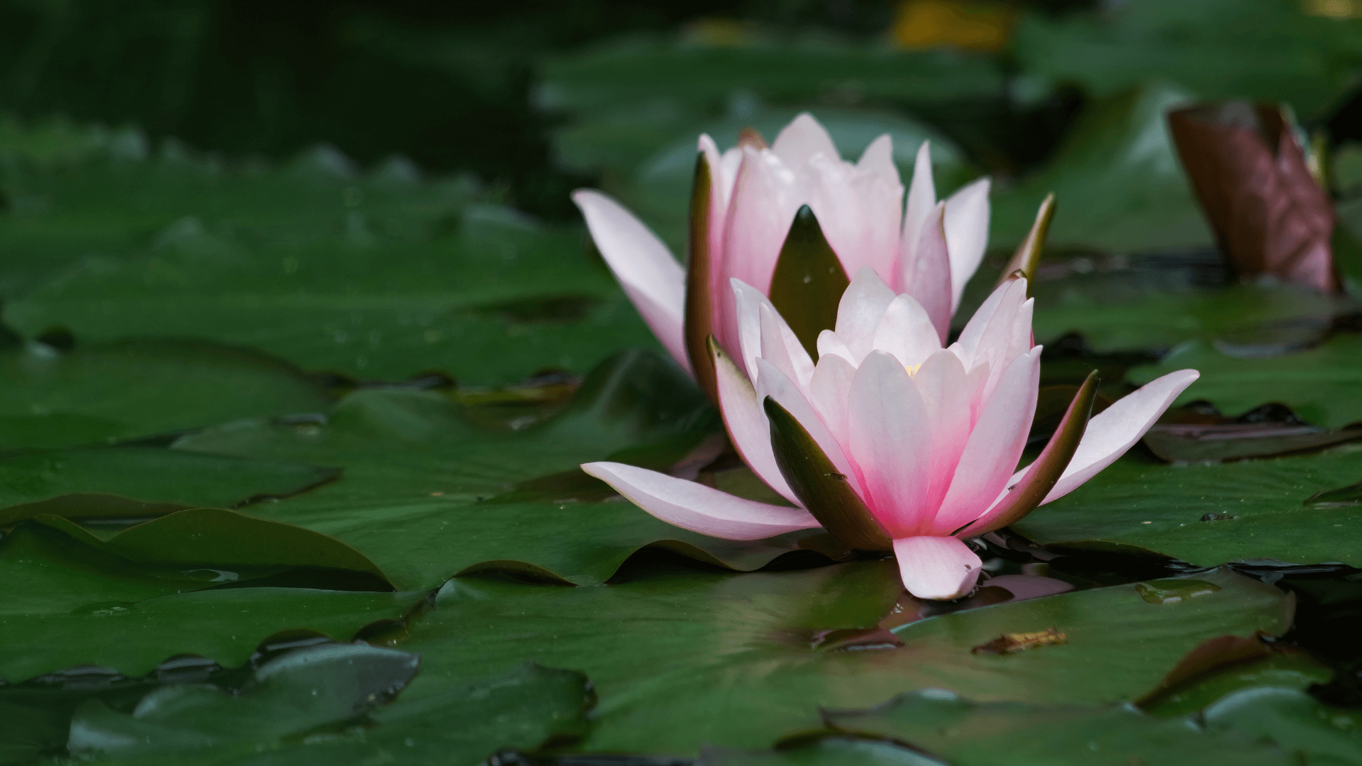 Monatsrückblick Juni 2023