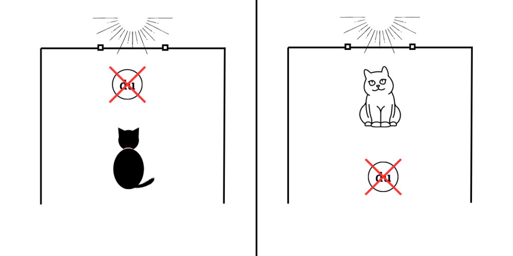 Natürliches Licht beim Indoor-Shooting - so sollten Katze und Fotograf nicht positioniert sein