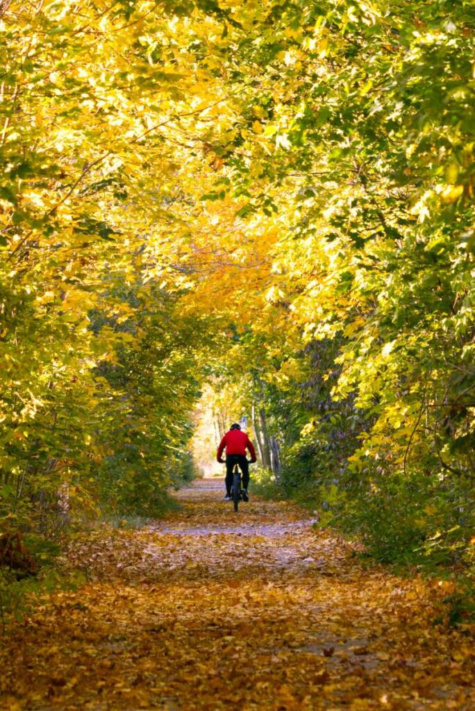 Alte Bahntrasse in Stammersdorf mit Radfahrer im Herbst