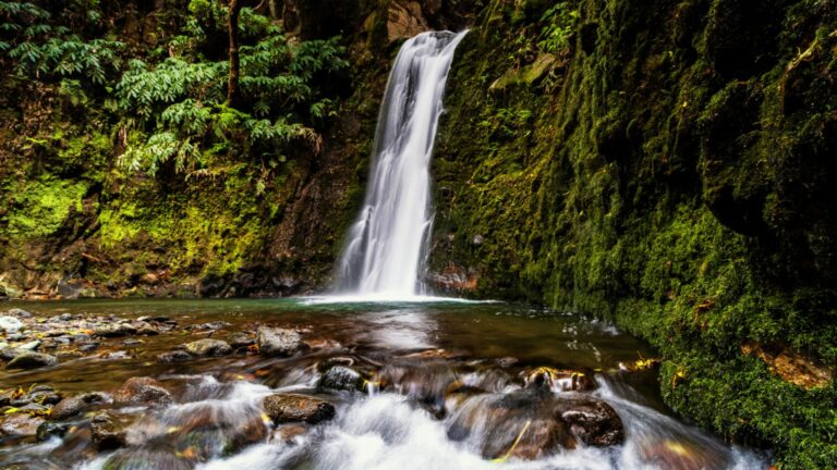 Interview mit Stefanie Künneke: Fotografieren aus Leidenschaft