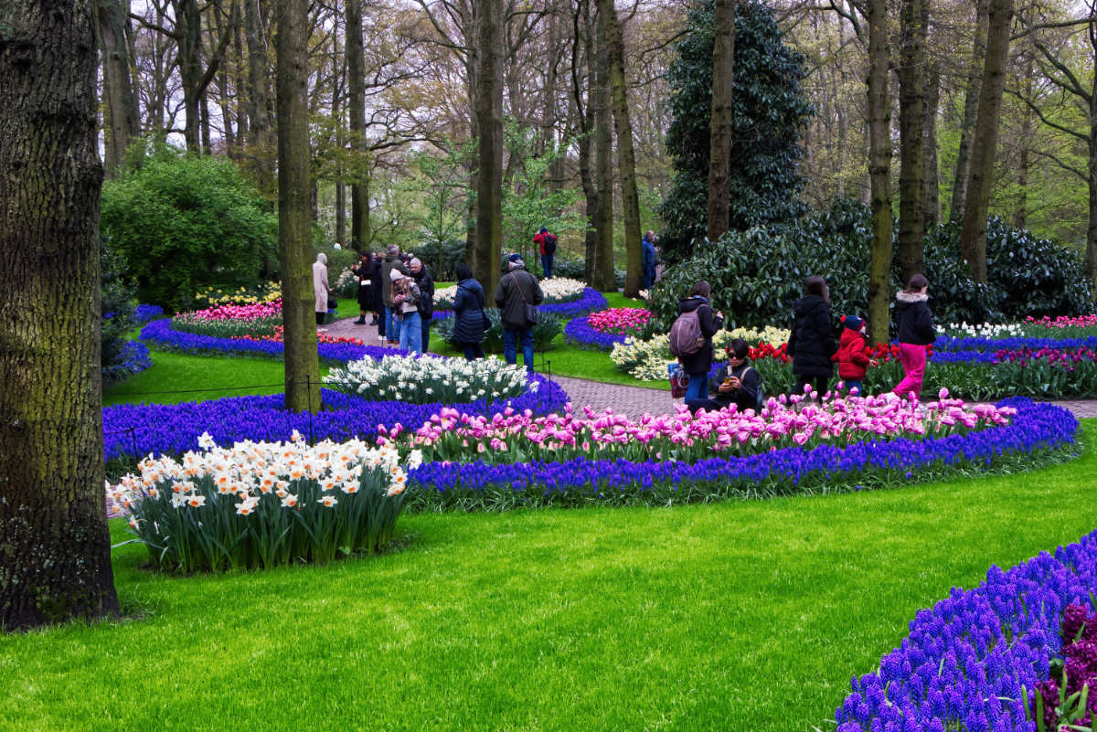  Keukenhof: Magische Tulpenblüte in Holland 