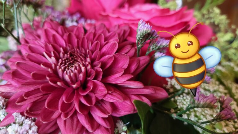 Monatsrückblick September 2023: Was Biene Maja und ich gemeinsam haben