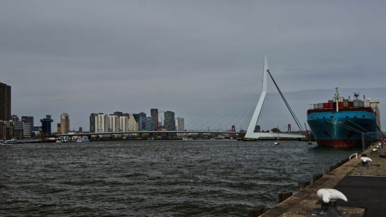 Erasmusbrug in Rotterdam