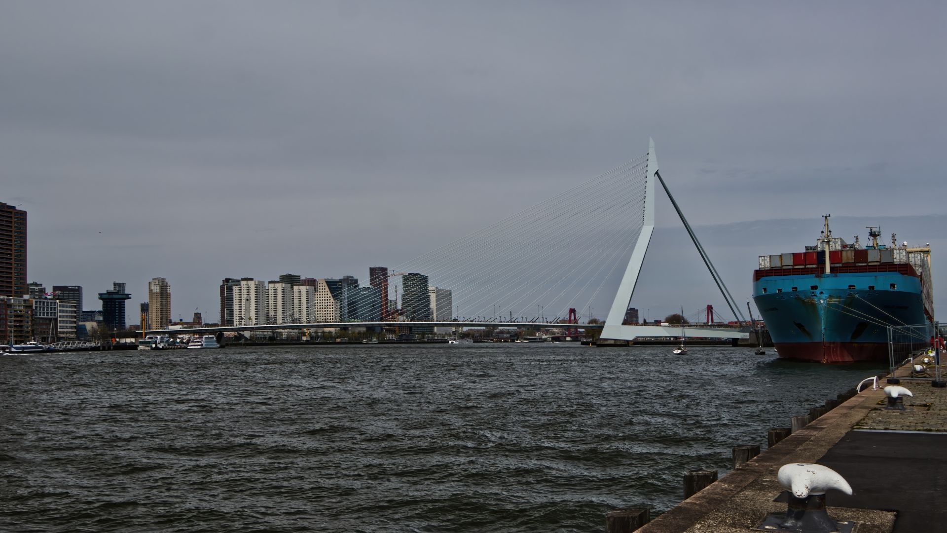 Erasmusbrug in Rotterdam