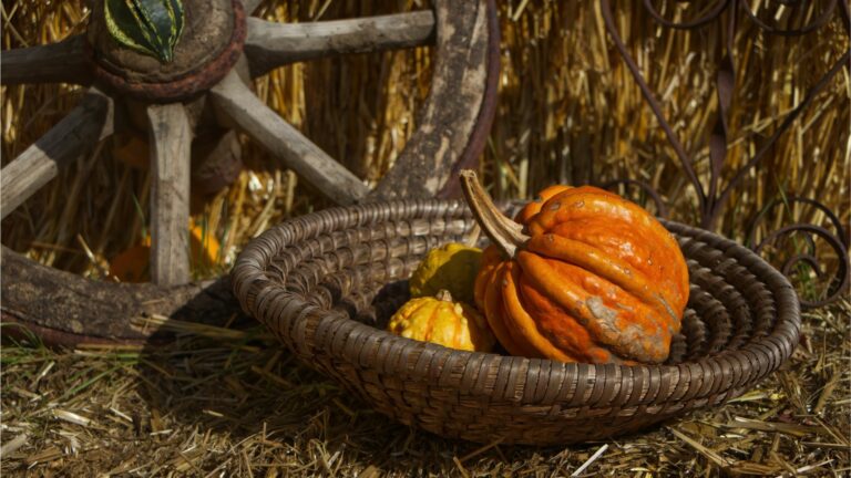 Kürbishof Wunderlich