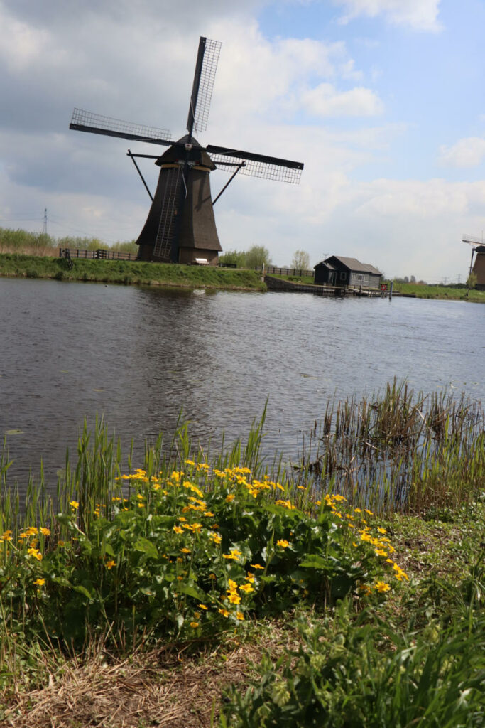 Windmühle - Originalfoto