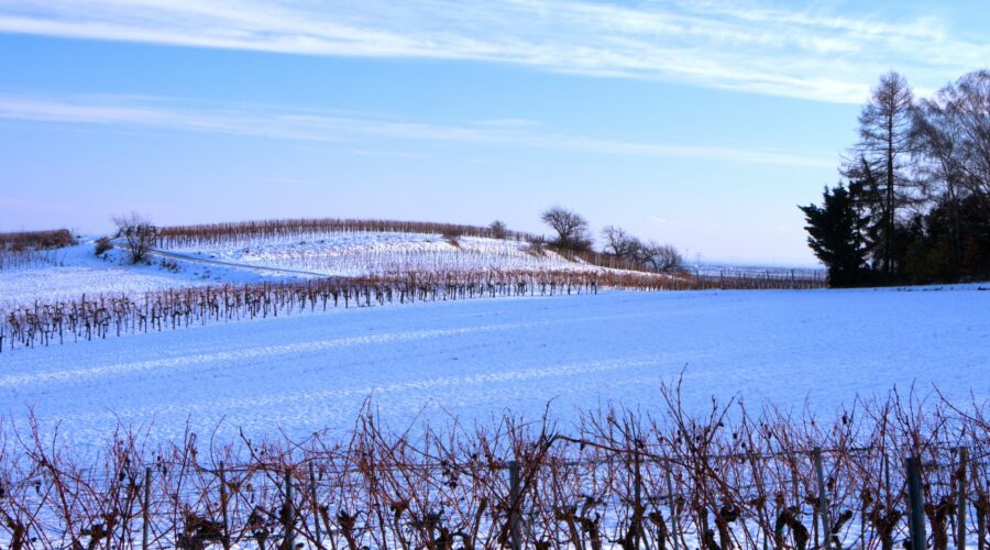 Winterlandschaft