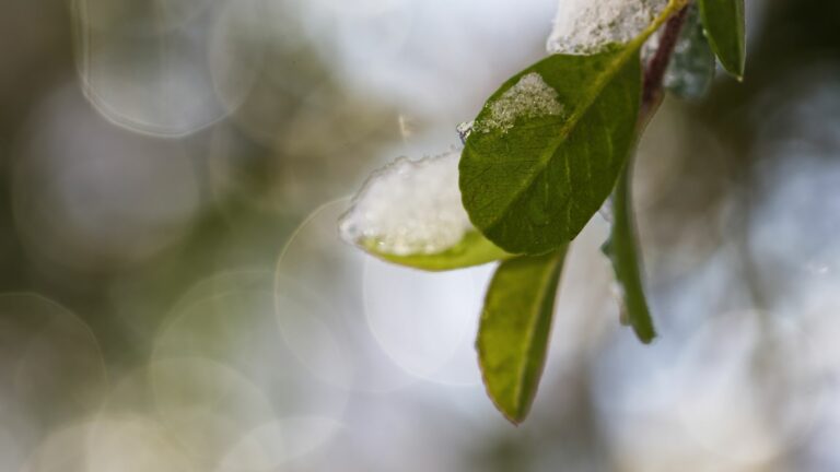 70+ Ideen für die Winter-Bucket-List von Hobby-Fotografen