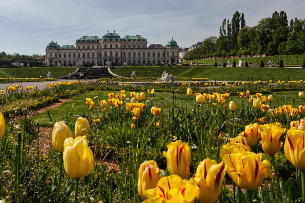 Schloss Belvedere