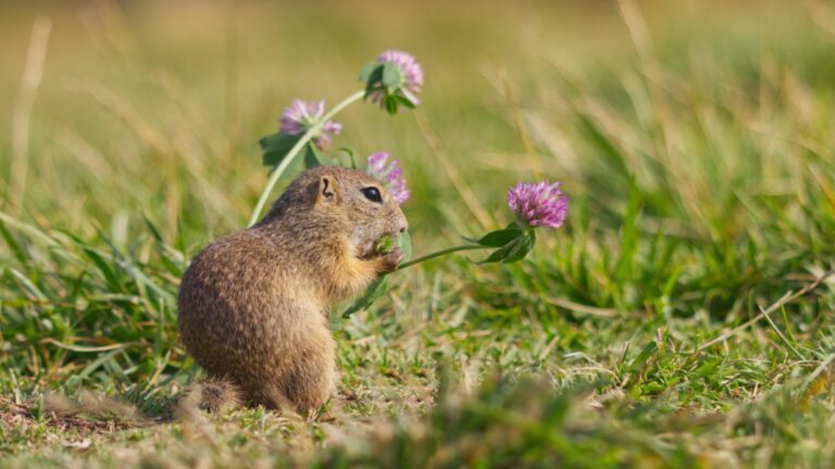 Monatsrückblick Juni 2024: Action!