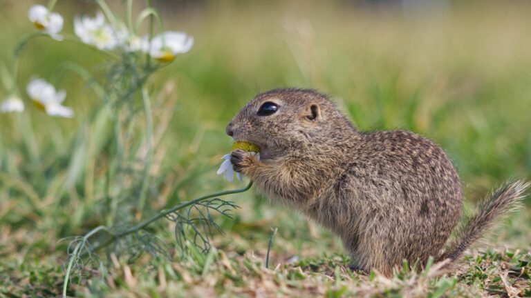 7 Gründe, warum mir das Fotografieren Freude macht