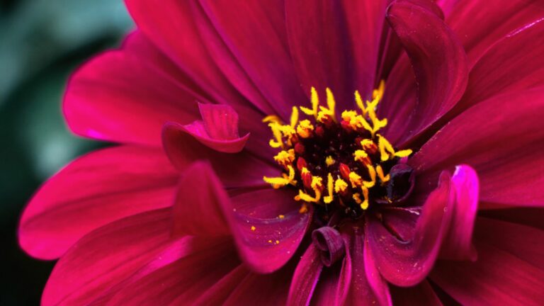 Was ist der Goldene Schnitt?