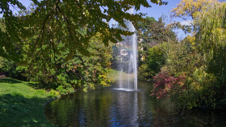 Türkenschanzpark: Entdecke Wiens grünes Juwel in Währing