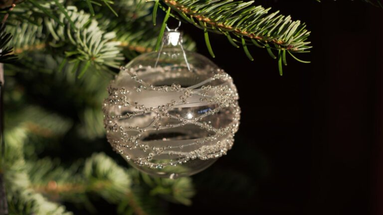 Fotografieren zu Weihnachten: Fototipps und Fotoideen