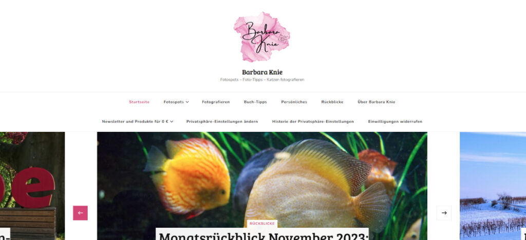 Mein Blog am 3.12.2023