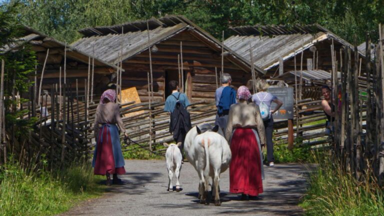 Skansen in Stockholm: Tiere, Traditionen und ein toller Ausblick
