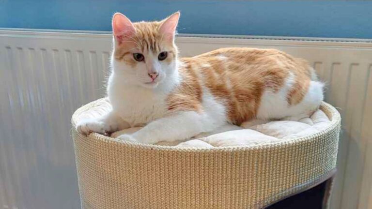 Monatsrückblick März 2025: Frühlingerwachen