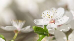 Monatsrückblick April 2025: Reisevorfreude
