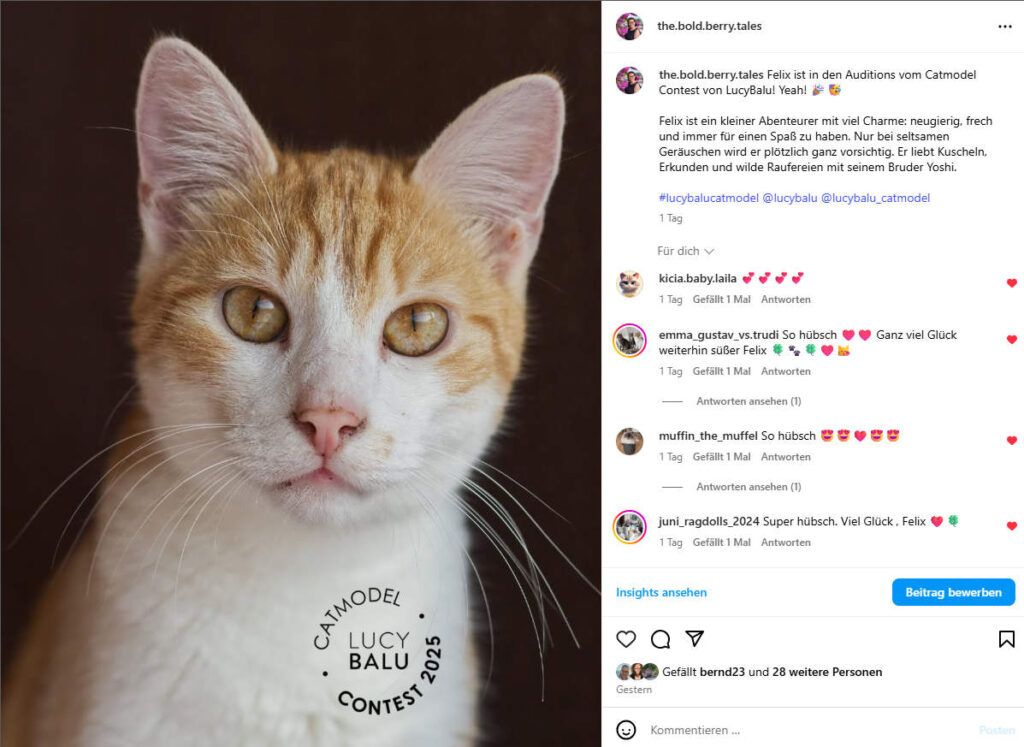 Felix beim Catmodel Contest von LucyBalu