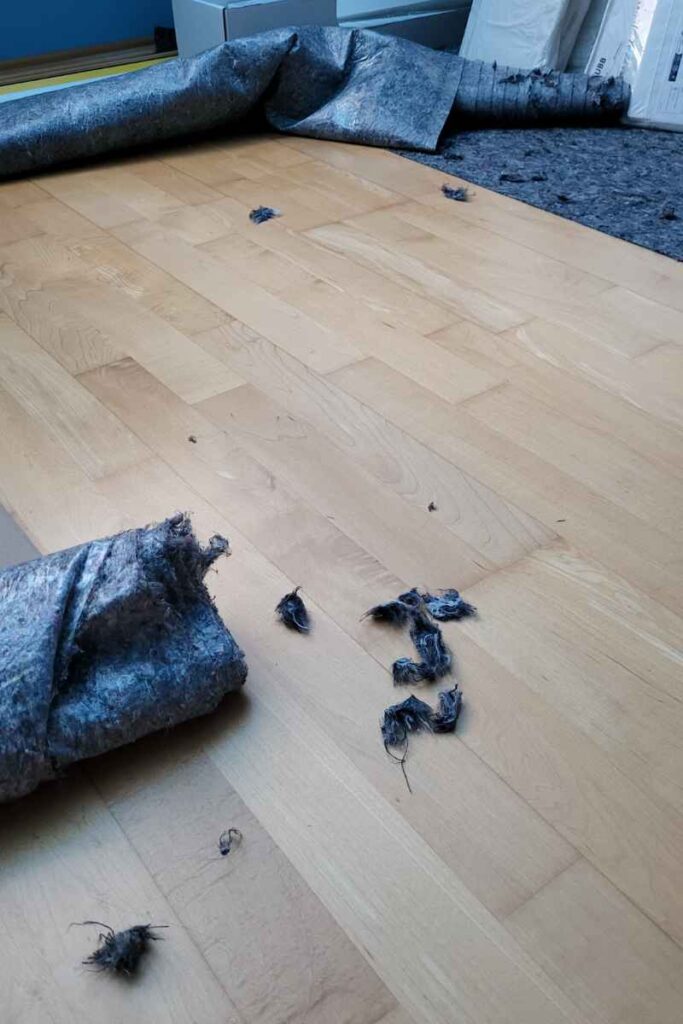 Zerstörung des Malervlieses