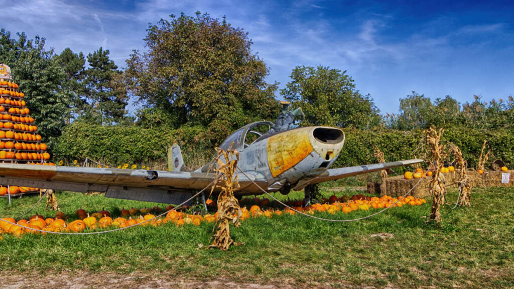 Flugzeug am Kürbishof Wunderlich