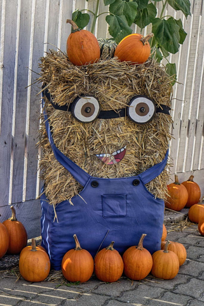 Minion mit Kürbissen