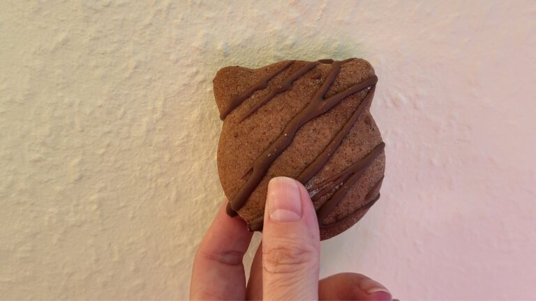 Monatsrückblick November 2025: Zwischen Herbstzauber und Weihnachtsmagie