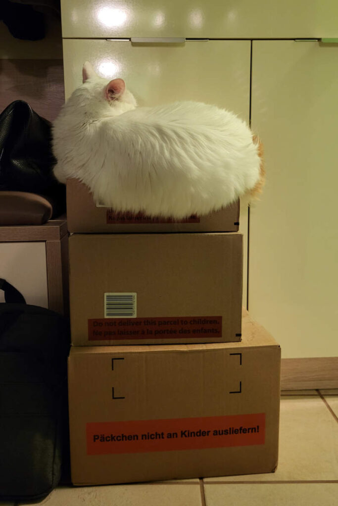 Yoshi auf Schachteln