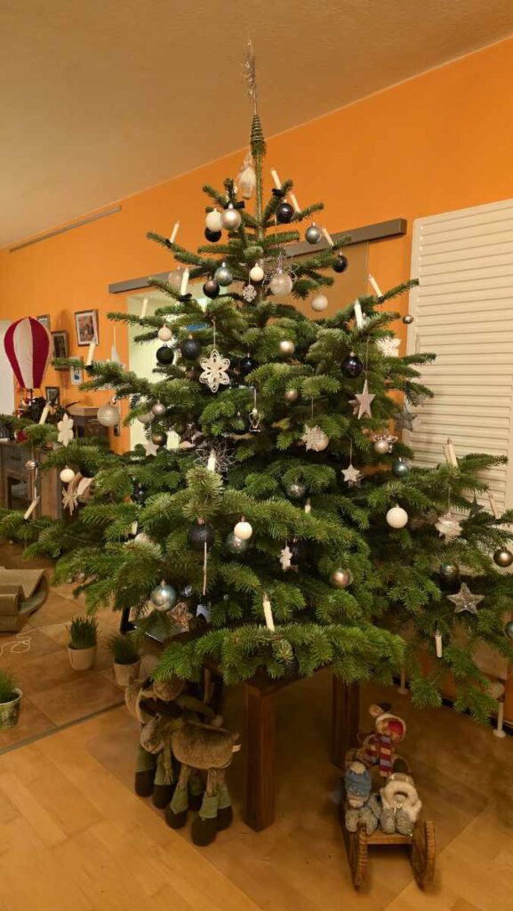 unser Christbaum