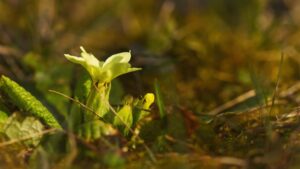 Monatsrückblick Februar 2026: Licht, Schnee und Frühlingszauber