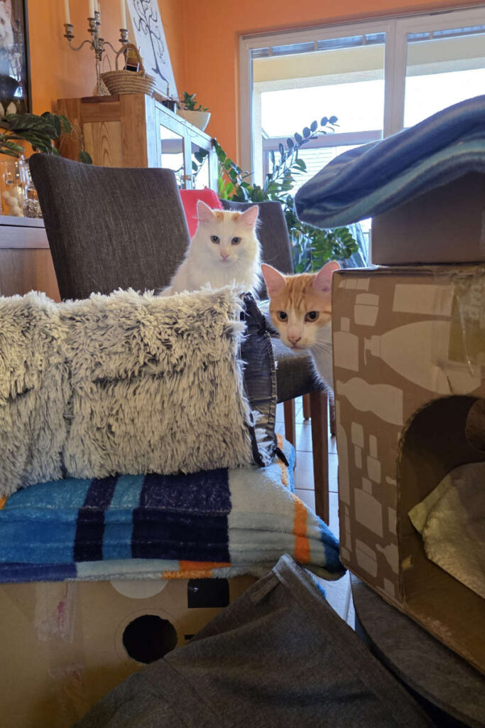 Felix und Yoshi beim Aufräumen