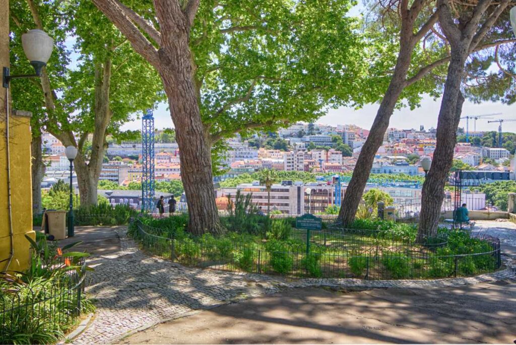 Jardim do Torel