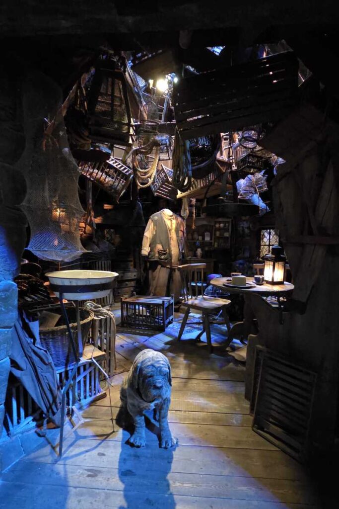 Blick in Hagrids Hütte mit dem Bluthund Fang und unzähligen Details in der Harry Potter Studio Tour London.