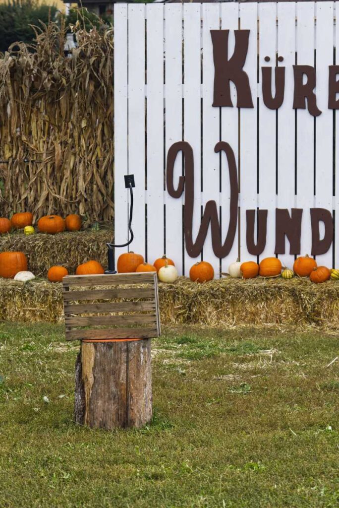 Handyhalterung auf einer Holzkiste über einem Baumstumpf vor dem Schriftzug Kürbishof Wunderlich